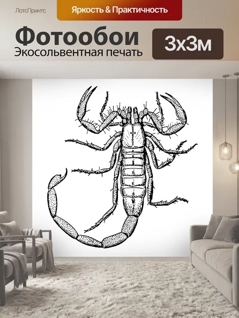 Фотообои Иллюстрация скорпион Clipart
