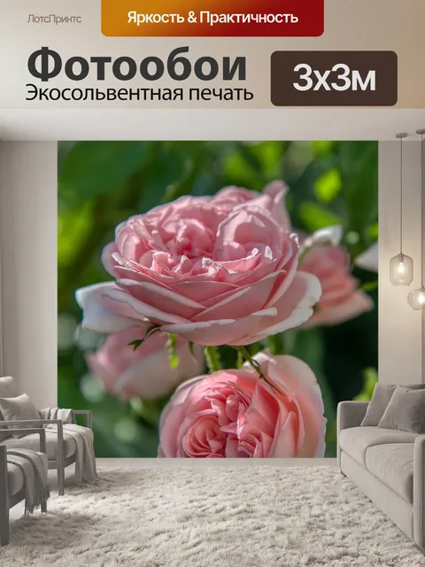 Фотообои Розы