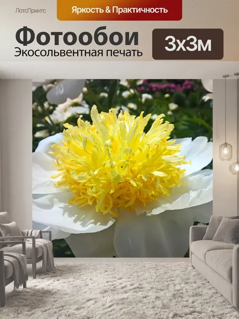Фотообои Пион