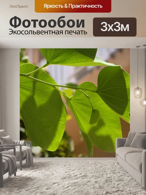 Фотообои Зеленые листья