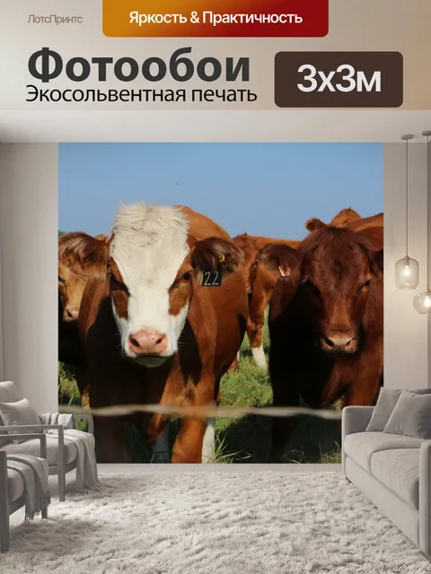 Фотообои Стадо коров пастбища