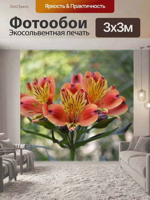 Фотообои Цветы 1,01