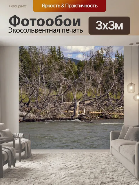 Фотообои Упавшие деревья в реке