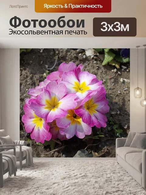 Фотообои Первоцвет
