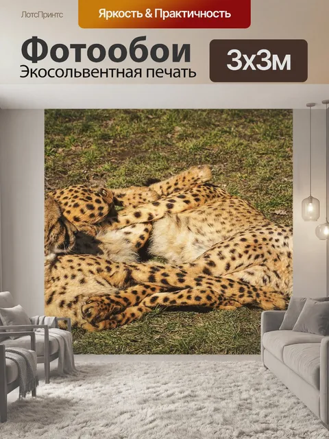 Фотообои Гепарды