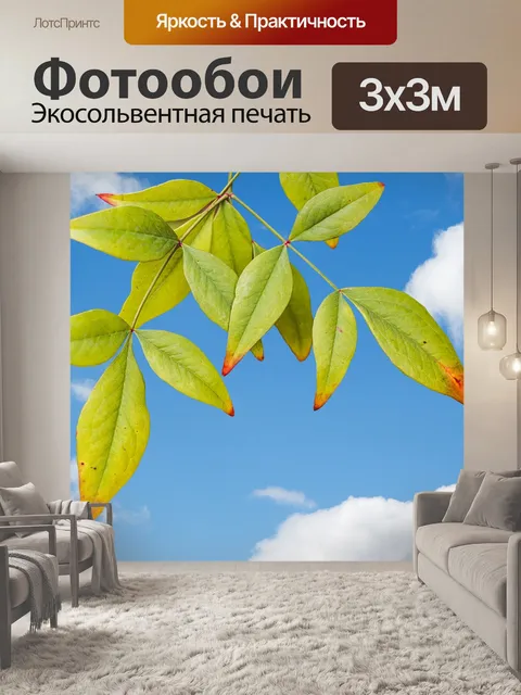 Фотообои Листья против голубого неба