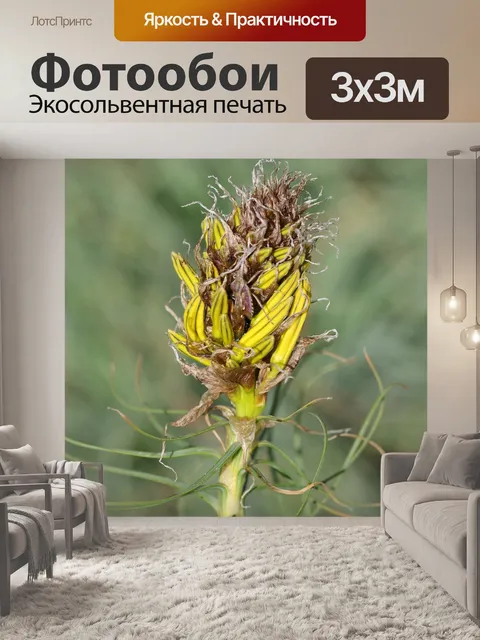 Фотообои Зеленый
