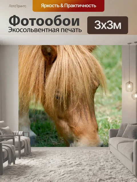 Фотообои Пони, питающийся травой