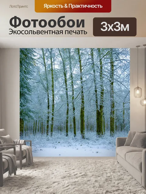 Фотообои зимний лес с инеем на деревьях