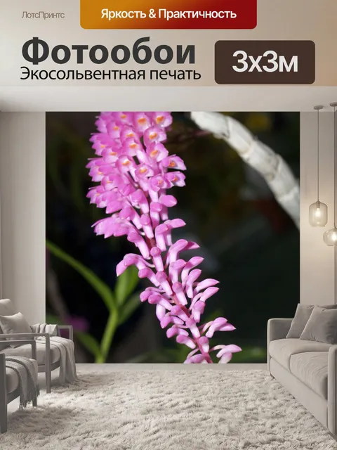 Фотообои Фото цветка орхидеи