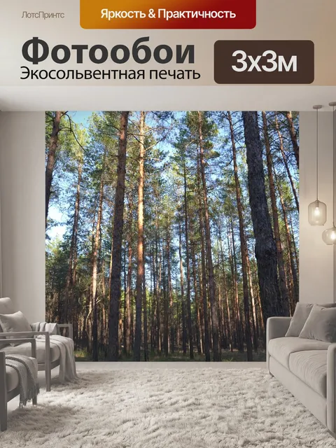 Фотообои Лес