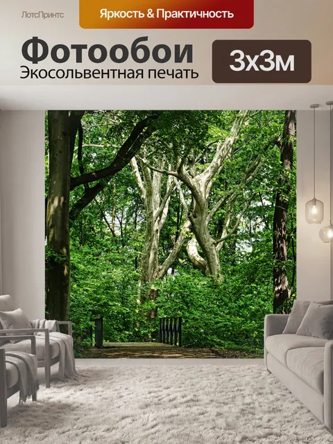 Фотообои Лес