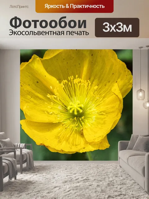 Фотообои желтый цветок