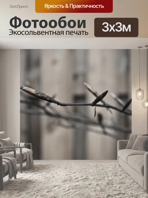 Фотообои Прут
