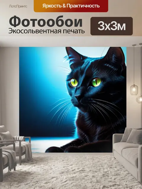 Фотообои с черным котом
