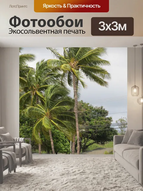 Фотообои Тропический пляж