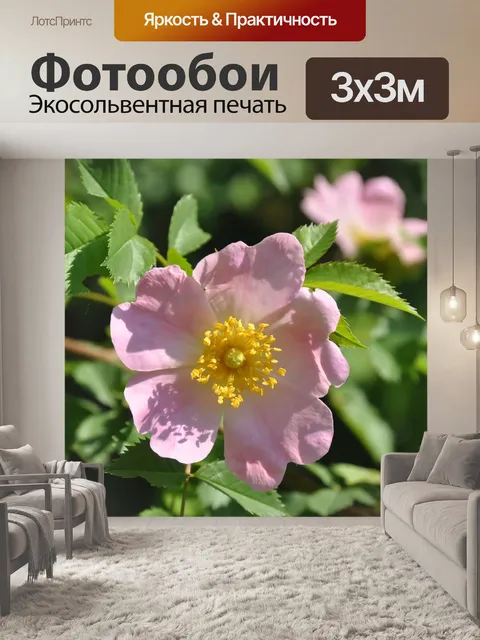 Фотообои Кустовая роза