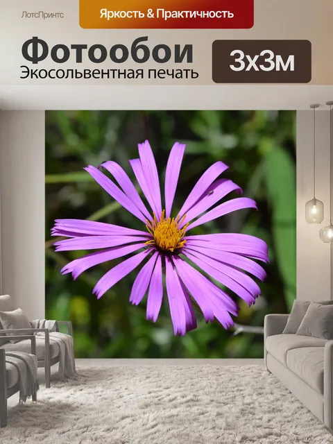 Фотообои Астровые