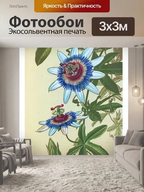 Фотообои Винтажное цветочное искусство пассифлоры