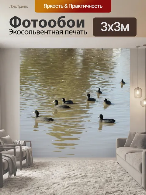 Фотообои Водоплавающие 19