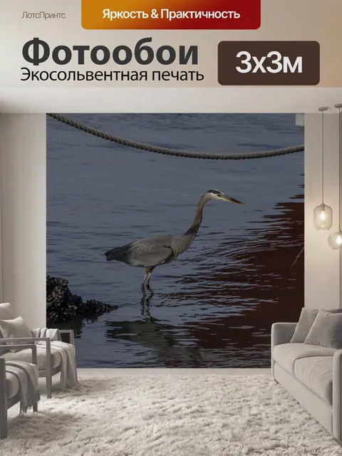 Фотообои Голубая цапля