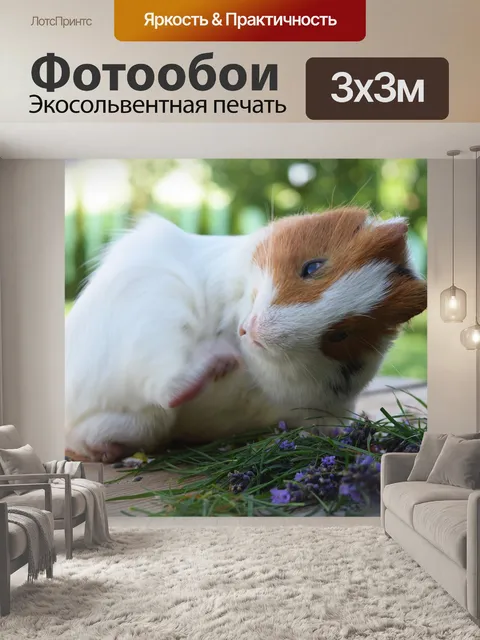 Фотообои Билли