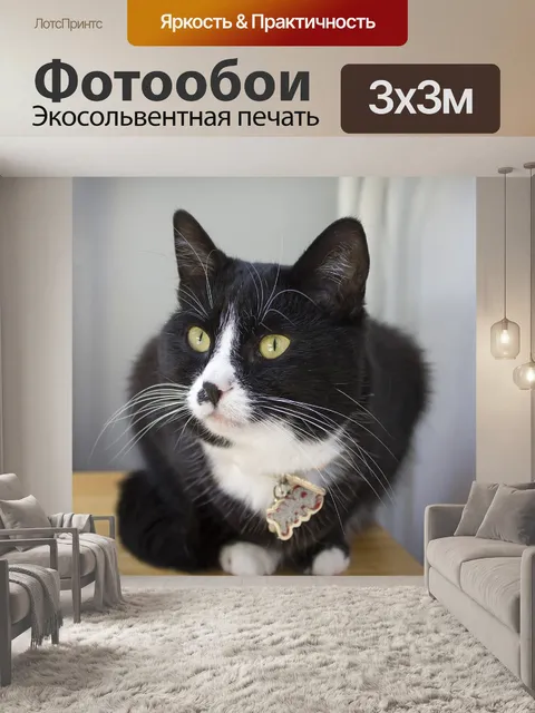 Фотообои Кошка