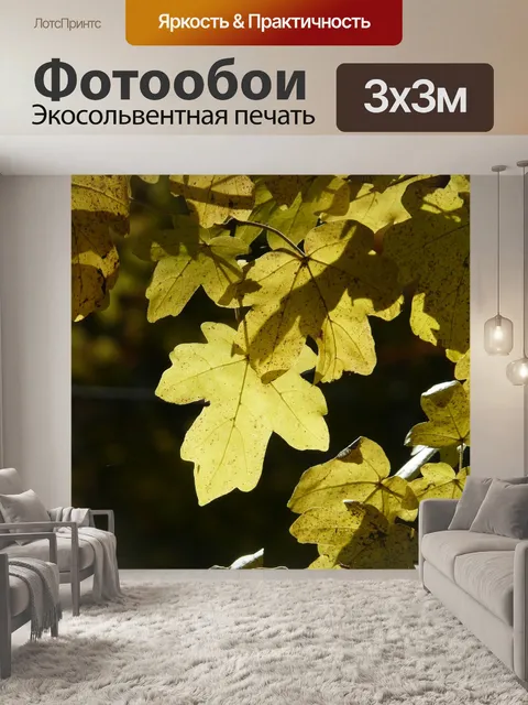 Фотообои Полевой клен