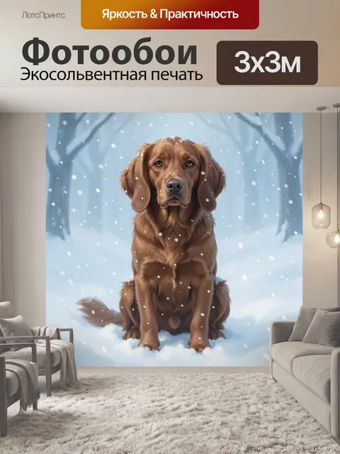 Фотообои Золотистый ретривер в зимнем лесу