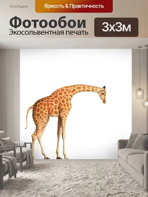 Фотообои Жирафа