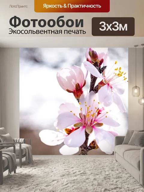 Фотообои Цветок миндаля