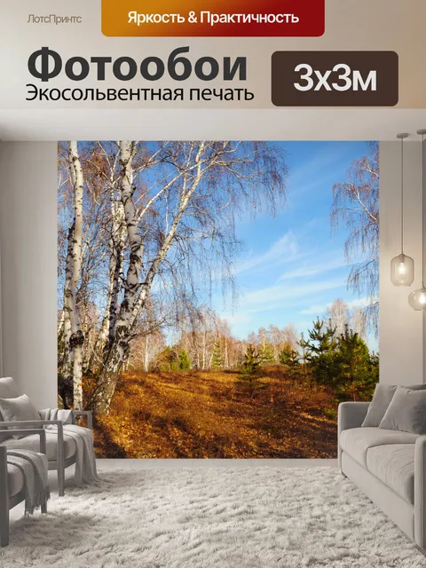 Фотообои Осенний лес 3
