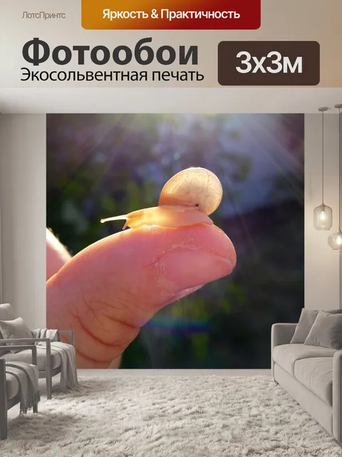 Фотообои Улитка
