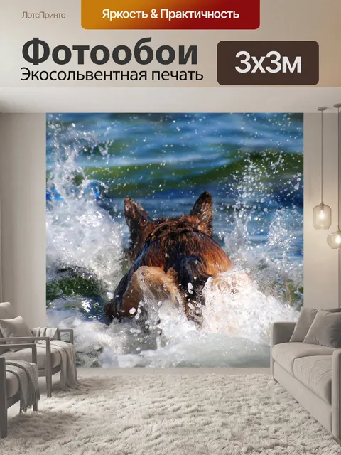 Фотообои Пастушья собака