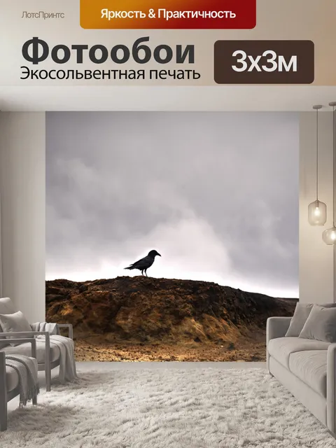 Фотообои Ворона на песчаных дюнах