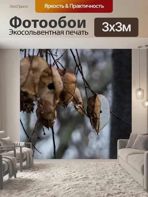 Фотообои Дождь на листьях