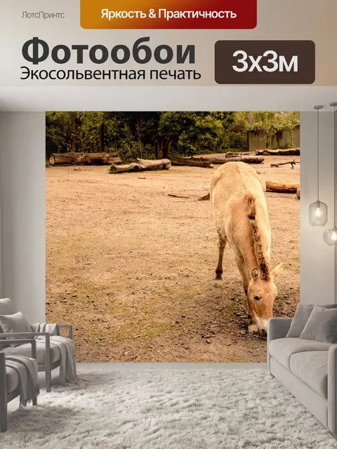 Фотообои Лошадь