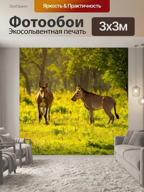 Фотообои утро: природный заповедник, залитый утренним солнцем, где дикие животные гуляют среди зелени