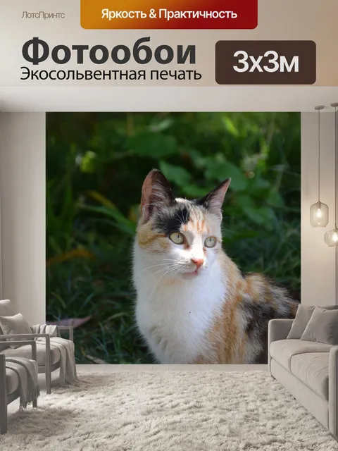 Фотообои Кошка
