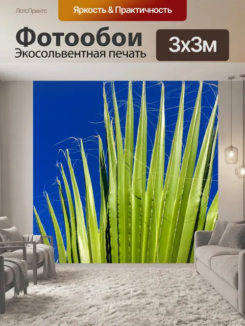 Фотообои Пальмовых листьев деревьев