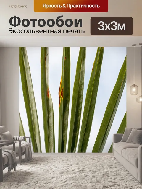 Фотообои Абстрактный фон лист шаблон