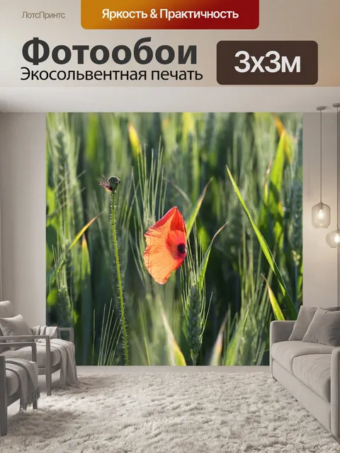 Фотообои Красный мак в пшеничном поле
