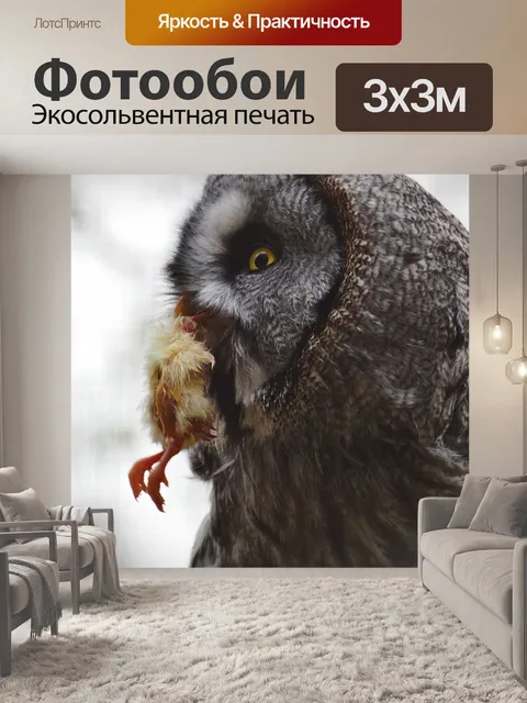Фотообои Барт сова