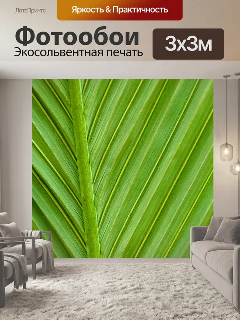 Фотообои Зеленый лист пальмы