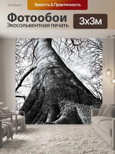 Фотообои Ствол дерева природа