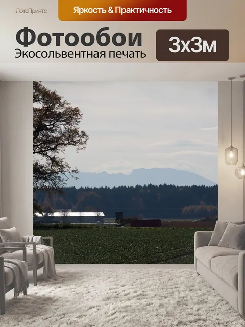 Фотообои Фен