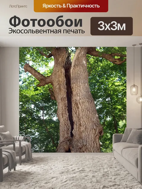 Фотообои Дерево