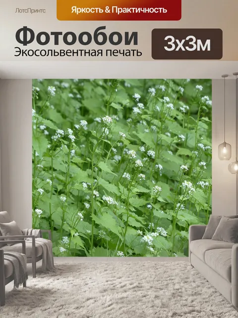 Фотообои Чесночная горчица