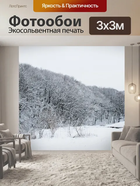 Фотообои Лес