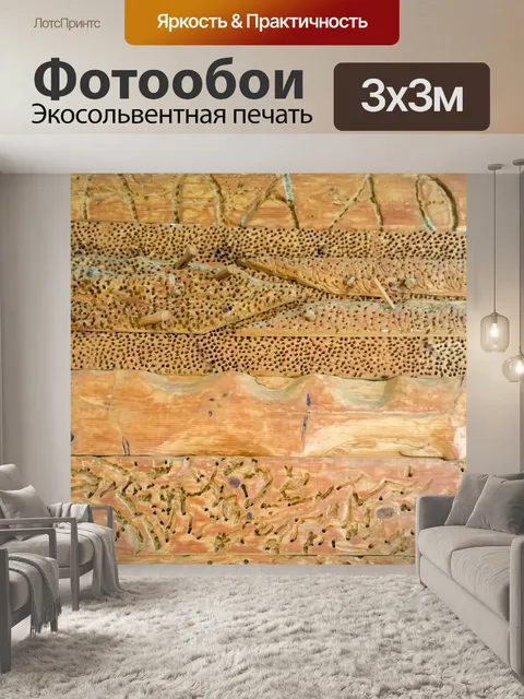 Фотообои Африканская текстура древесины